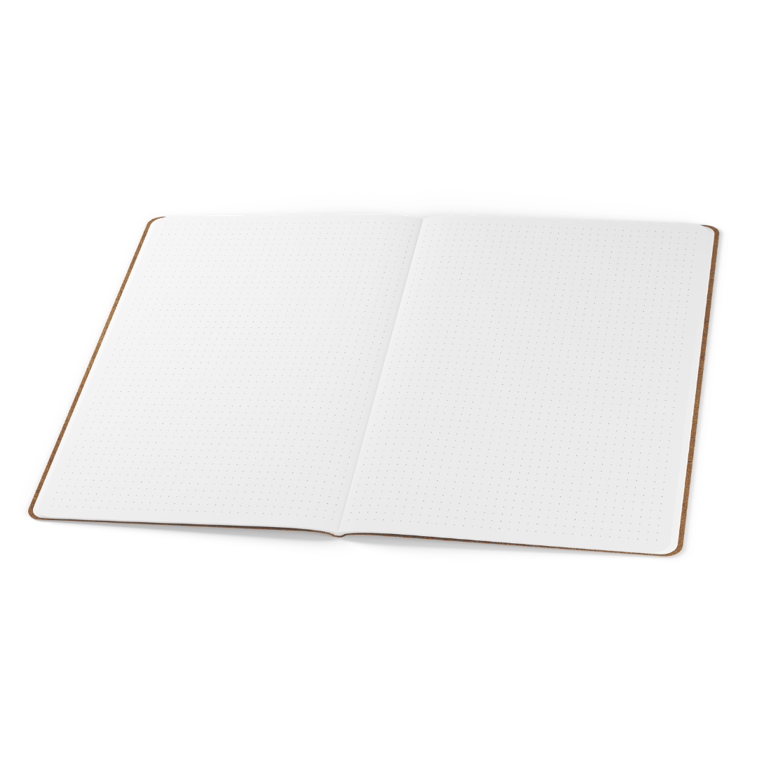 Tomoe River Notebook (B5) - Dot Grid