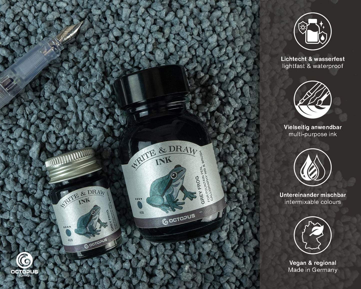 Octopus Write and Draw: Grey Frog