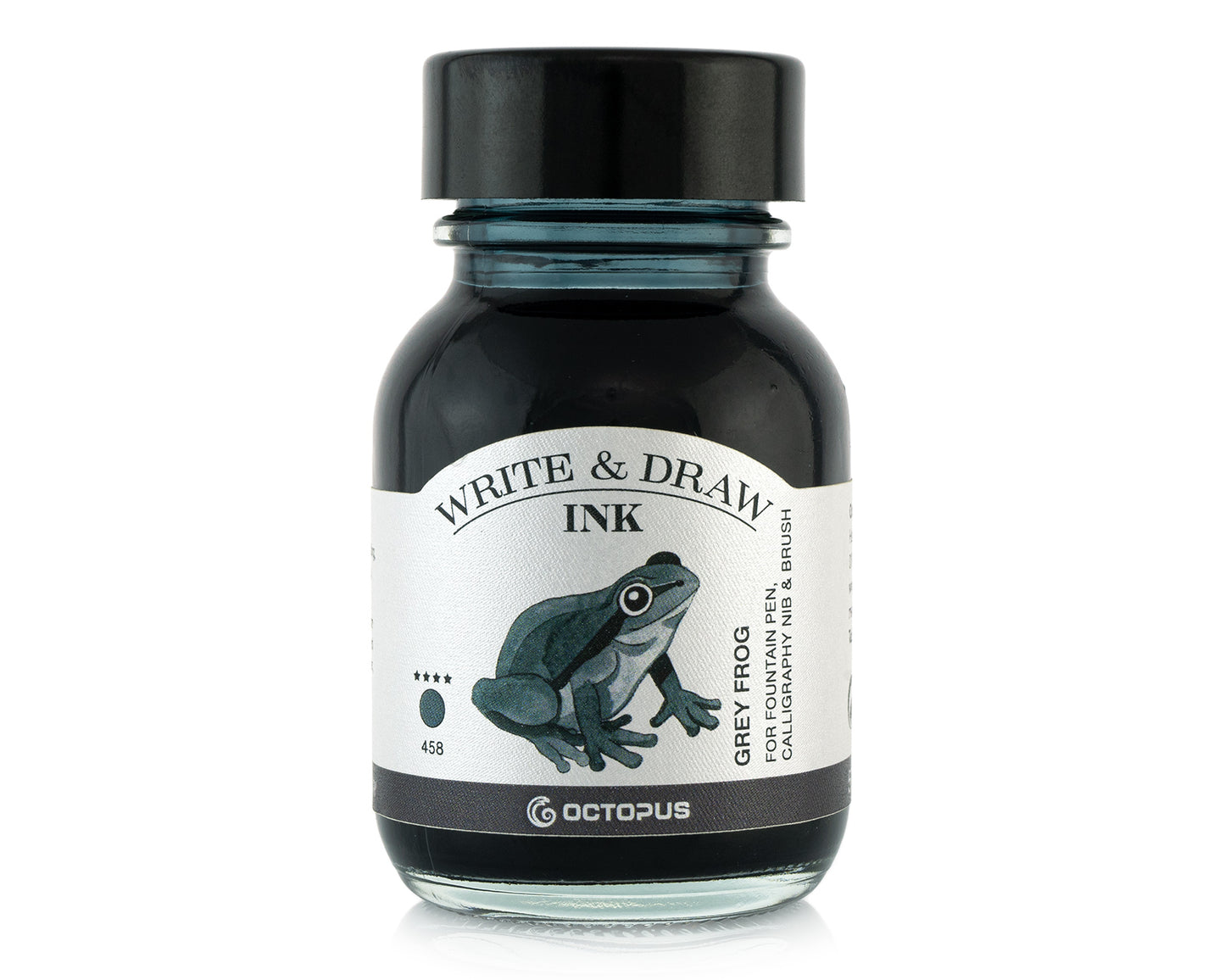 Octopus Write and Draw: Grey Frog