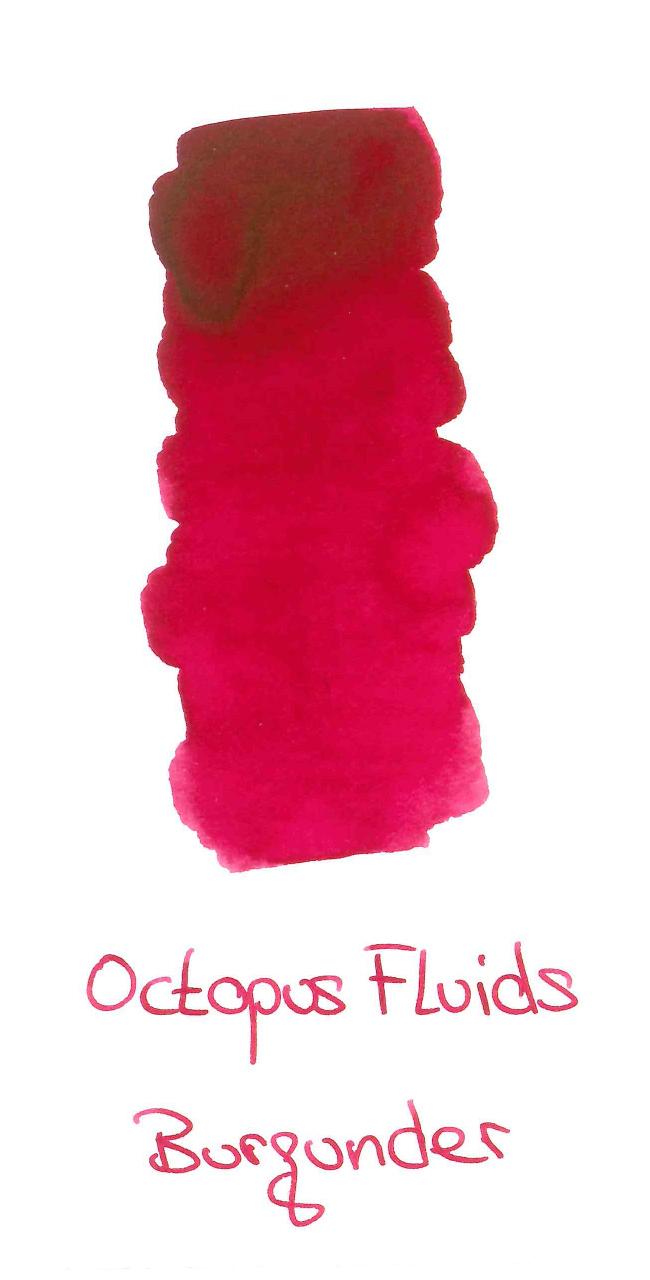 Octopus - Burgundy Ink