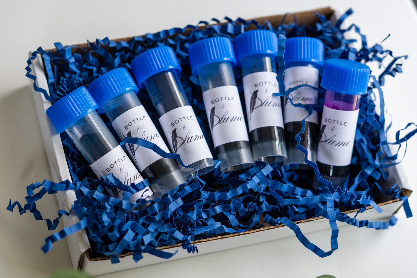 Classic Explorer Ink Sample Box