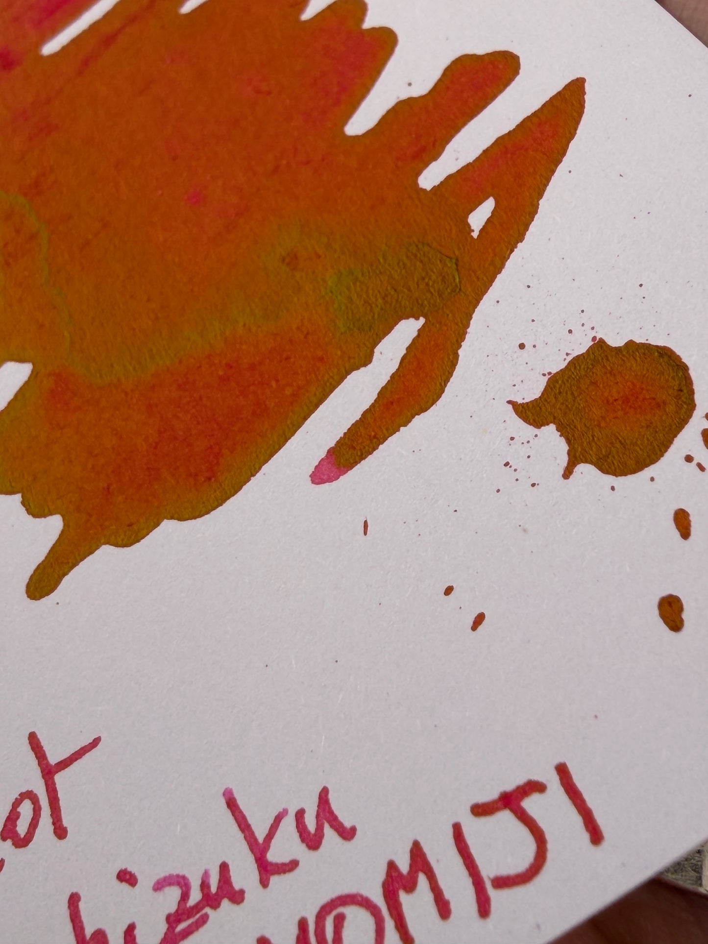 Pilot Iroshizuku Momiji (Autumn Leaves) Red Ink