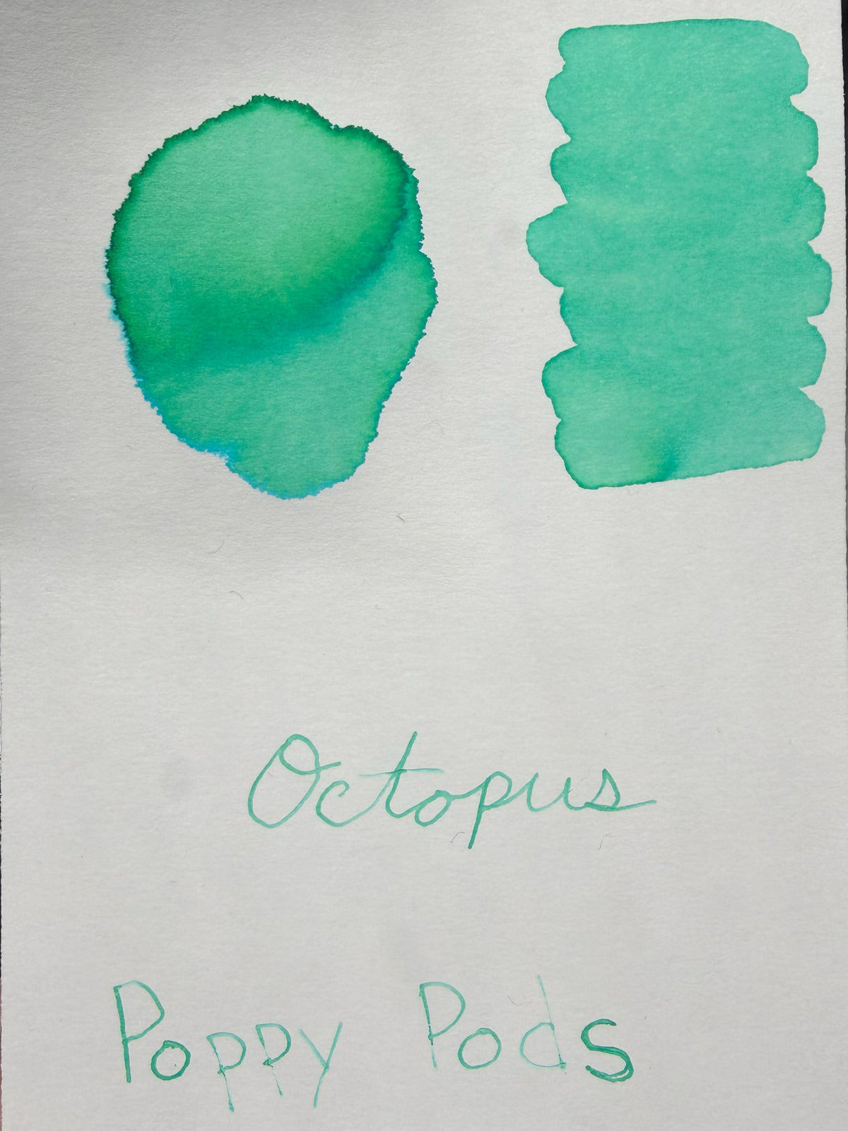 Octopus Pastel Ink - Poppy Pods Green