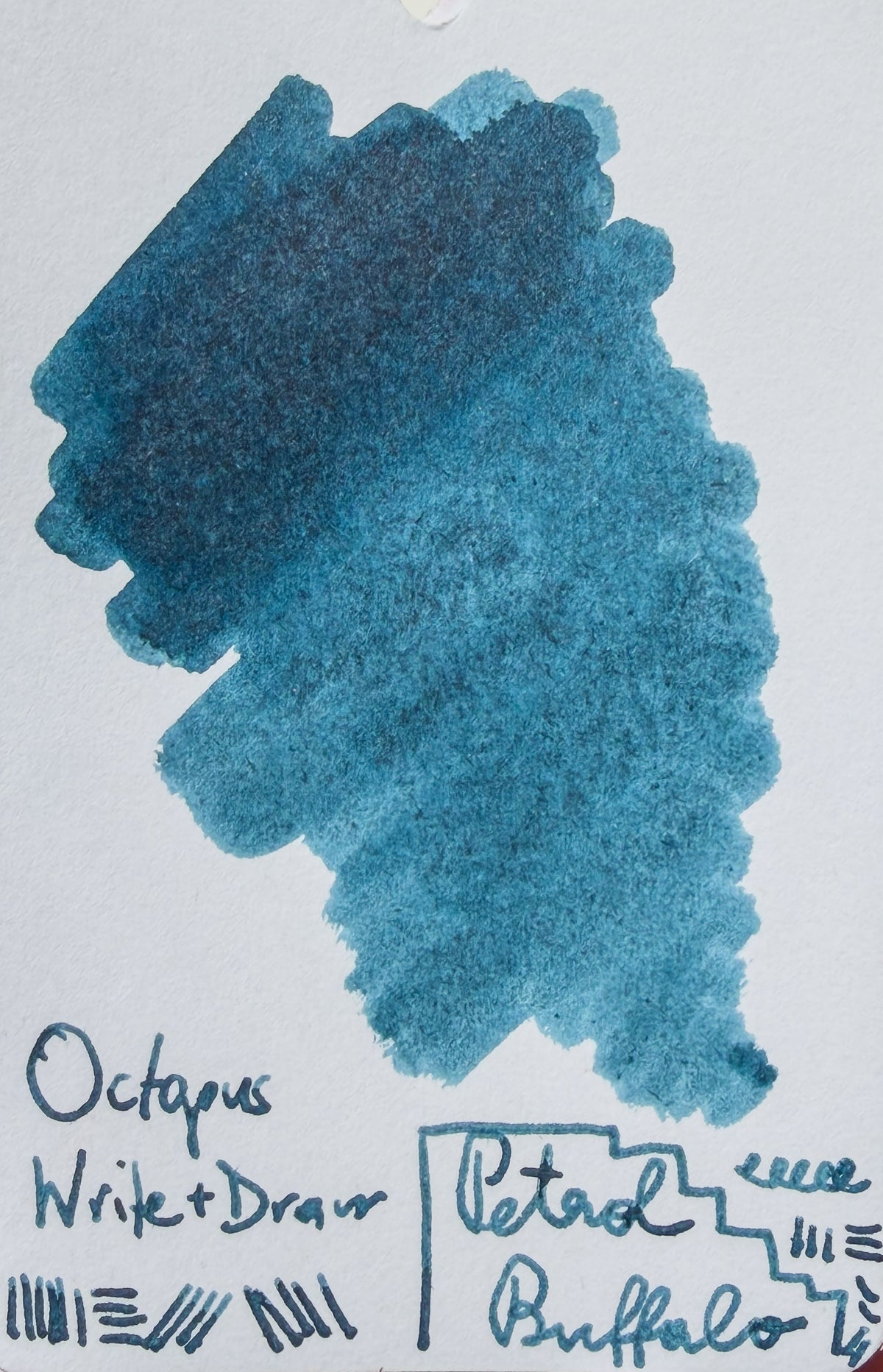 Octopus Write and Draw: Petrol Buffalo