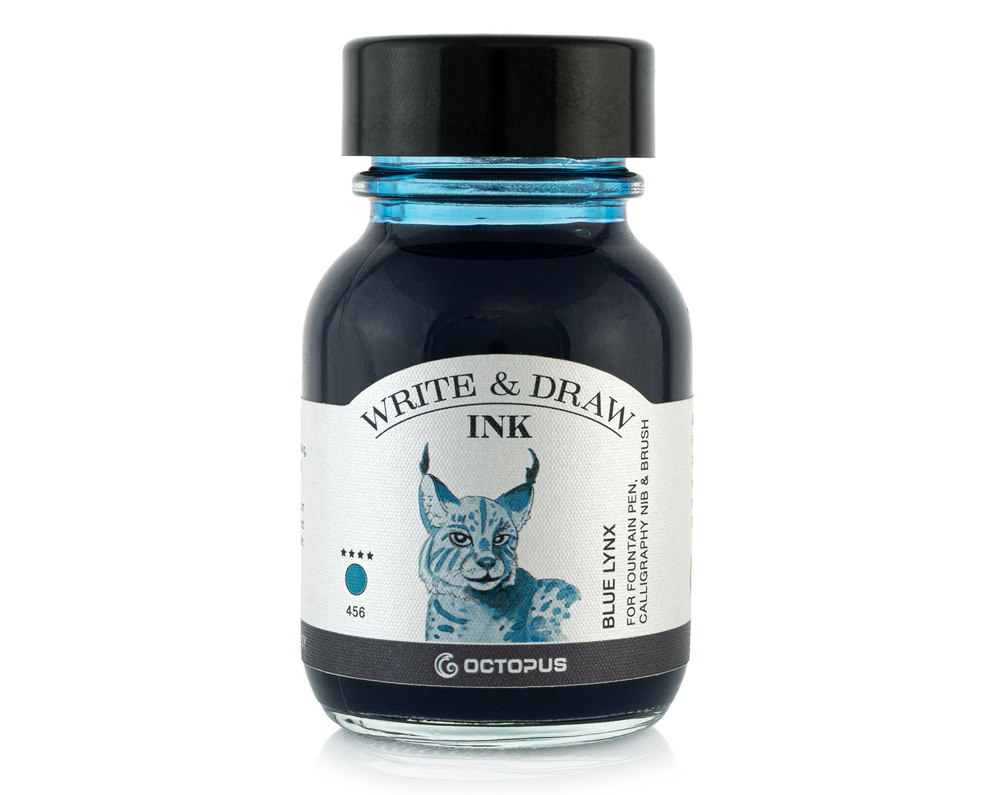 Octopus Write and Draw: Blue Lynx