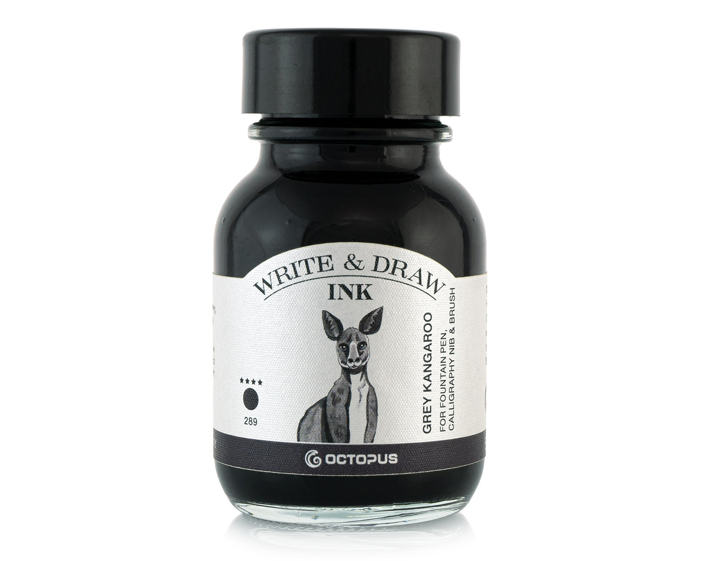 Octopus Write and Draw: Grey Kangaroo